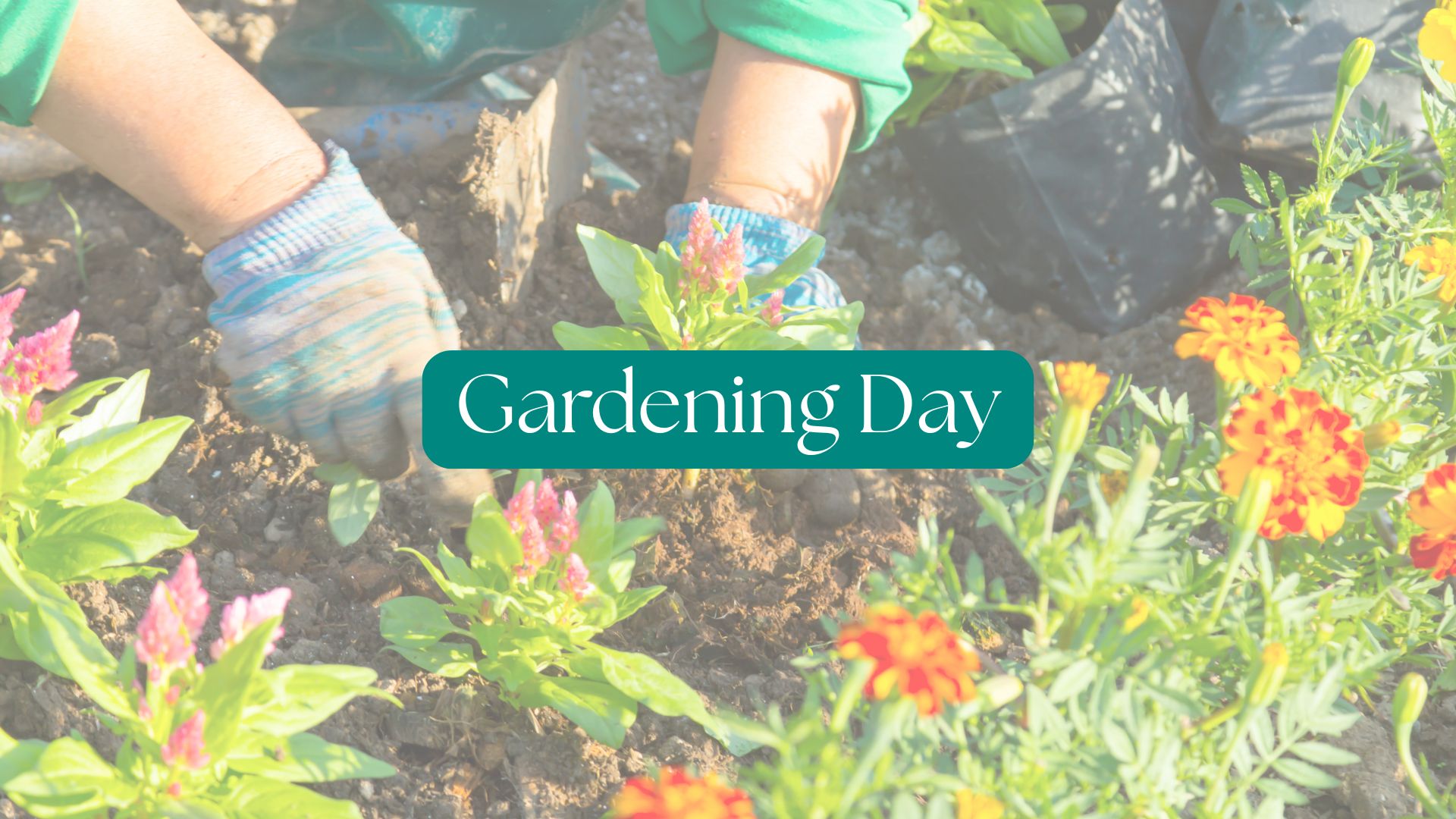 Gardening Day - Bickerdike